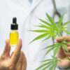 cbd-oil-cannabis-thc-free